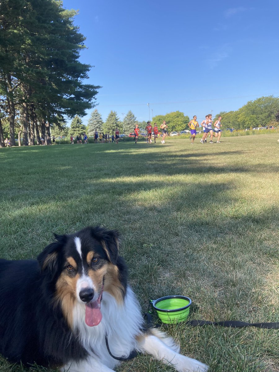 Kobe is cheering on Bago Cross Country on the gorgeous Saturday morning!!!