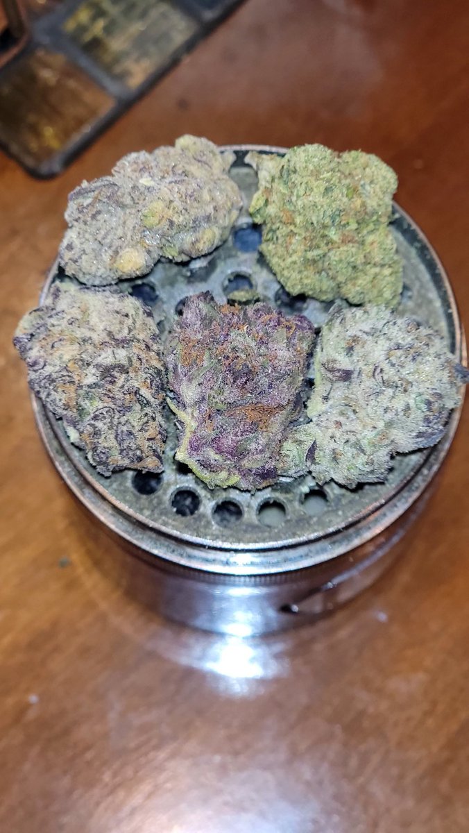Slayth_Dibiase's tweet photo. Yall see all those colors โ๏ธ
Can you guess the strains ?
Oh yeah, GOODZ 2-1 RX 2-1 ILL WILL 2-1 BIGG K 30 HEAD ICE 2-1 JAY BREED 30 ZAY 30 J SLASH 2-1 XCEL 30 A.WARD 2-1
When the GanG #30OTB #30OffTheBench
Do the recap it's UP ๐ฝ๐ค https://t.co/phZ8DBiIvG