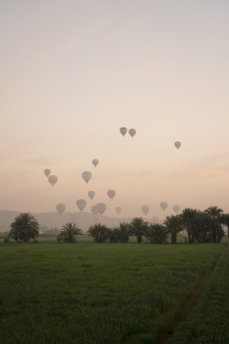 Je lance ma boutique de tirages photo ! Avec en premier 5 images d’Egypte ♥️ lama.co/Paulinedarley/
