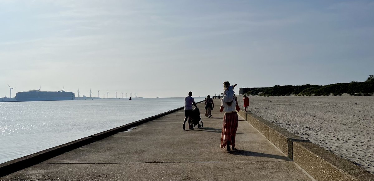 Paul Verspeek tweet media