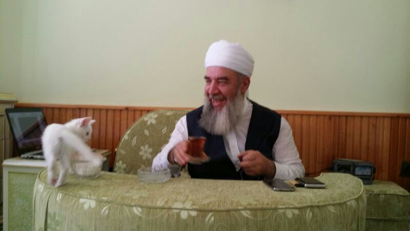 DrBahadiroglu's tweet photo. Şöyle bir kere de fakire nazar eder misiniz Sultanım? https://t.co/gBikDDkY9B