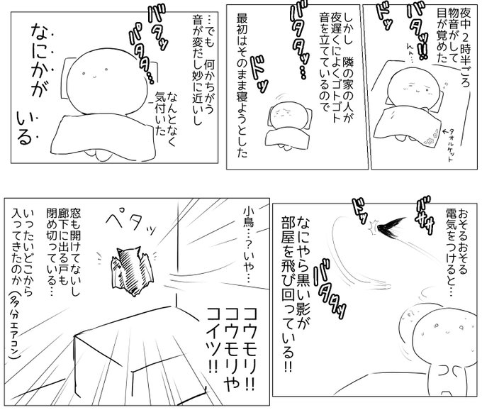 部屋にコウモリがあらわれた話 