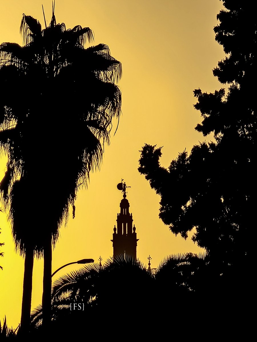 #AmandoSevilla
