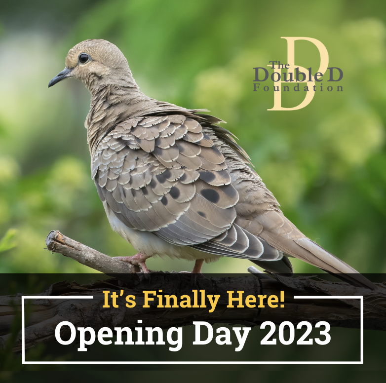 Opening Day is finally here. LIKE &amp; SHARE to help celebrate! #doubledfoundation