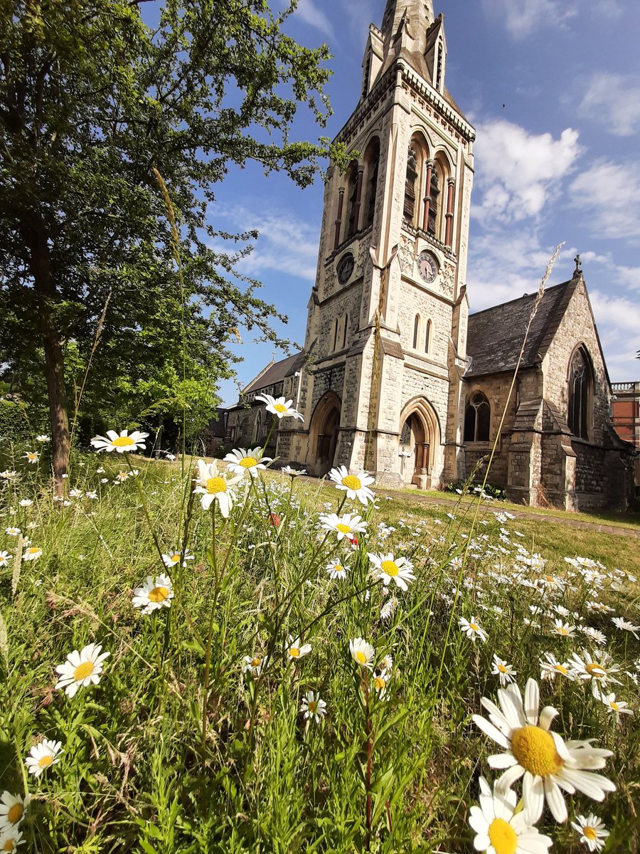 StMichaelsN22's tweet photo. Parish Mass @StMichaelsN22 Sunday 10.30am. Jesus challenges us to 'take up our cross and follow Him'.
We shall also bless all children as they return to school and students as they prepare for college or Uni.
We look forward to welcoming you
#BackToSchool #backtochurch https://t.co/OBWQHQ6M3w