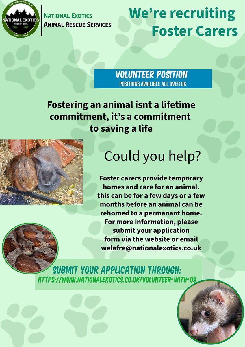 Foster homes needed urgently up and down the UK 

Can you offer a space for an animal ? Do you have what it takes to help an animal in it's hour of need ? 

If so please reach out and get in contact with one of the team ☺️

#fostering #nationalexotics #snakes #exoticpet #UK