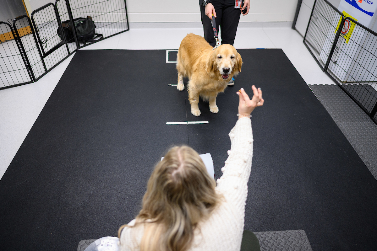 NC State Vet Medicine tweet media