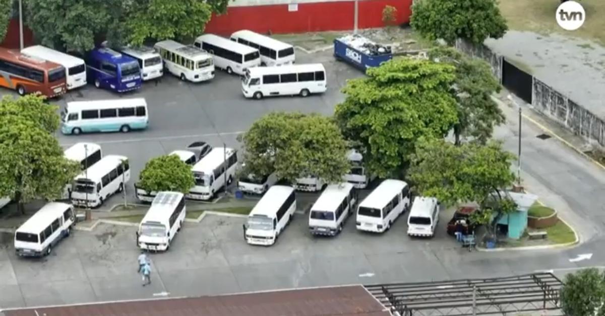 RetenChiriqui's tweet image. Usuarios de transporte público en Chiriquí exigen una terminal digna

Manuel Morán, exmiembro de la junta directiva en la ATTT, señaló a TVN Noticias, que alrededor de 40 mil personas se movilizan diariamente en la Terminal de Transporte en David

tvn-2.com/nacionales/usu…