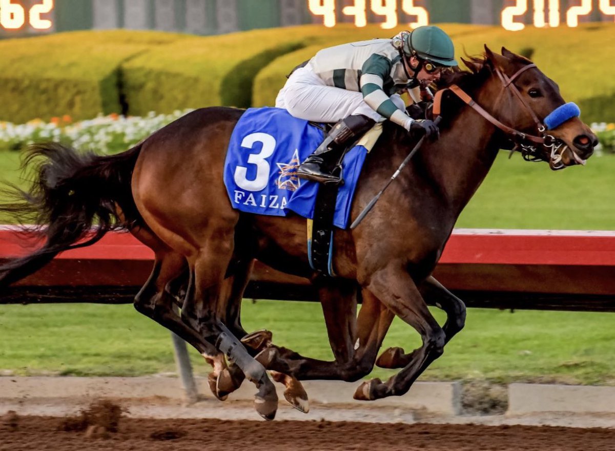 alett15's tweet photo. 🏇 Confirmado…!!!
La yegua FAIZA, gran favorita para hoy en el Torrey Pines Stakes (G3) en @DelMarRacing ha sido “RETIRADA”. Su entrenador @BobBaffert declaró “la yegua está perfecta pero le tocó el p.p. #9 y por ahí en una milla en Del Mar, es imposible ganar” https://t.co/vomNKkJgaT