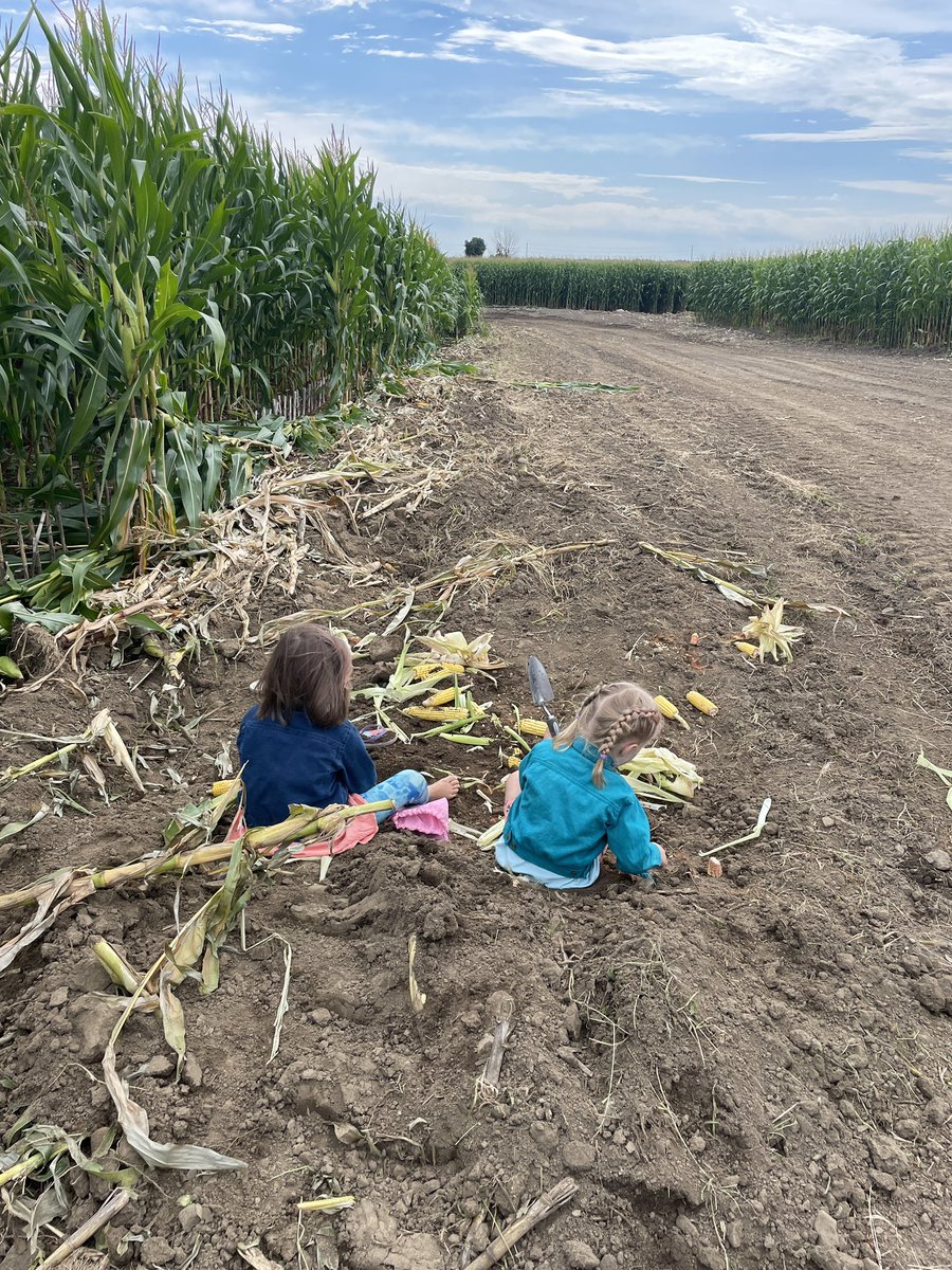 Christine tweet media