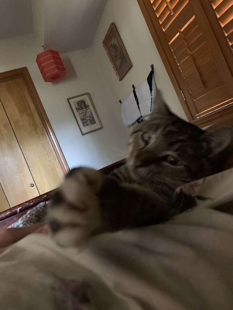 Rudy wants to snuggle this morning