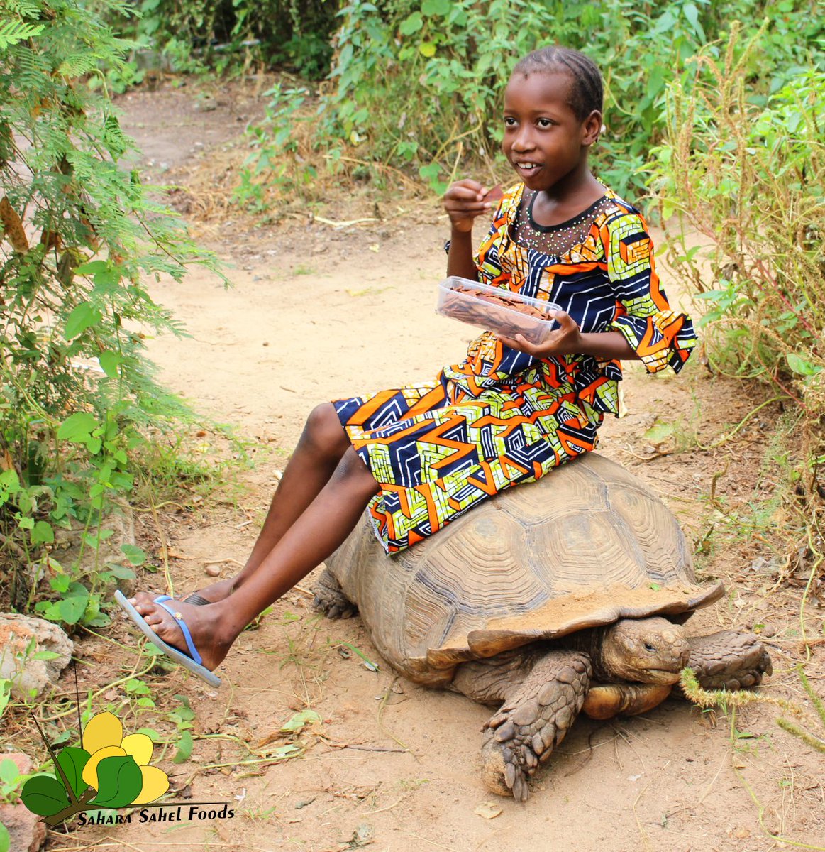 Les vacances, c'est de manger des délicieux *biscuits de magaria* assis sur une rocher dans la verdure!
Les biscuits de magaria sont naturellement doux, sans sucre ajouté.
Disponible chez Sahara Sahel Foods, Zinder. +227-94731173.