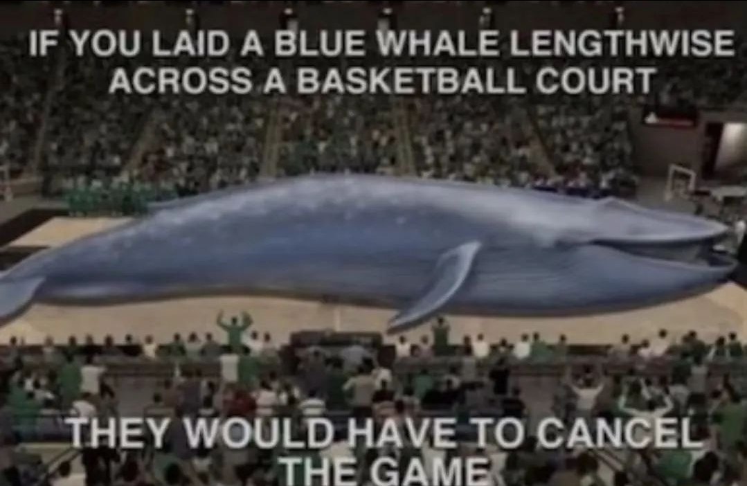 VsauceTwo's tweet image. 