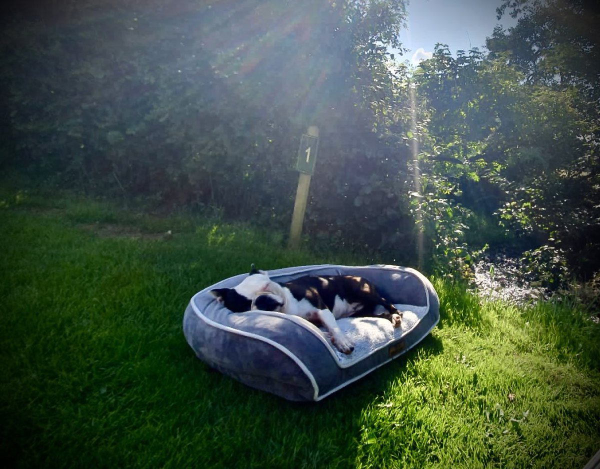 This camping malarkey is hard work for Bazza.