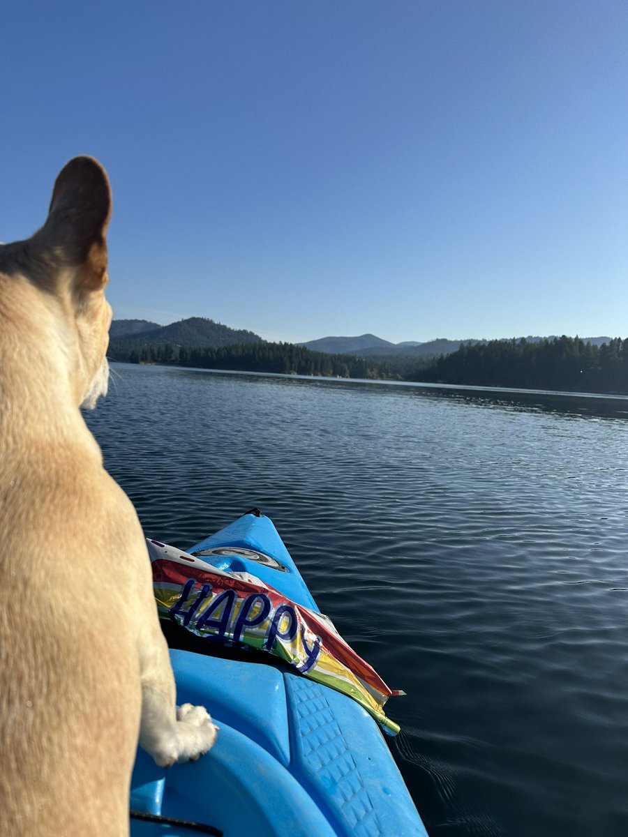 Heather Knox tweet media