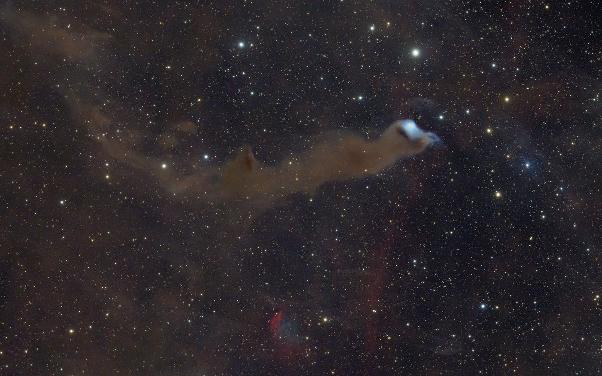 vdB152 in Cepheus Combined all the data (3.3 hours) from my recent 4” refractor tests to make this. On Astrobin: astrobin.com/4bi317/ #astrophotography