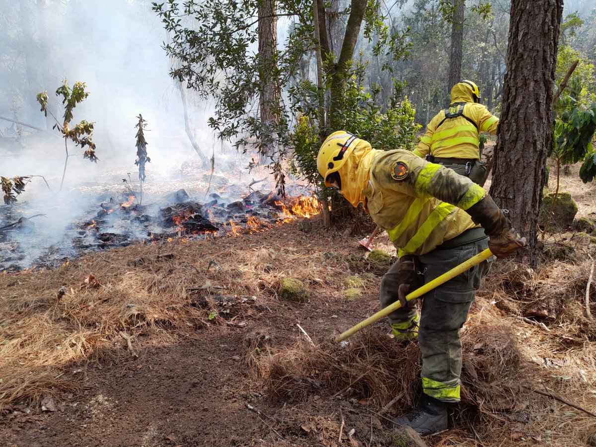 CabildoTenerife's tweet photo. 🔥 #IFArafoCandelaria

⛔️ Recuerda que el acceso a las zonas afectadas por el #IFTenerife está prohibido.

HILO ⬇️ https://t.co/NQhOWSIKrb