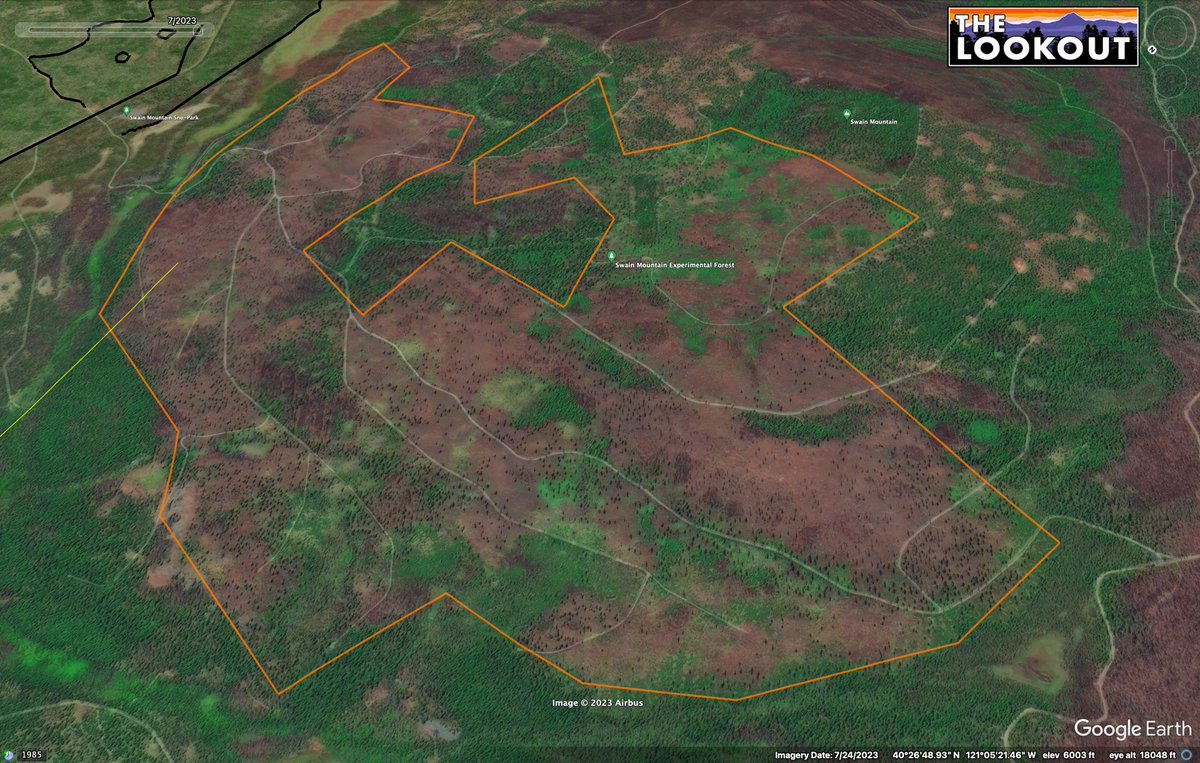 wildland_zko's tweet photo. Following on this morning's video, 3 images of Swain Mountain Experimental Forest, near Westwood:
1993: 4 square miles of 'shelterwood removal' logging (removing most large trees, but leaving some to seed new trees).
2017: Brush dominates.
2021: Post Dixie Fire burn severity. https://t.co/bXLzkR6CmH