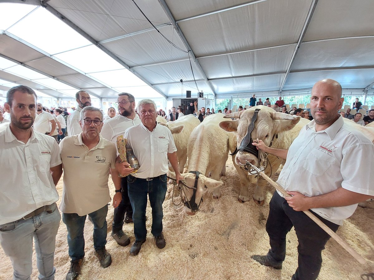 Et le grand prix d'élevage Charolais de l'interregional de #Festielevage de @ChemilleenAnjou revient au Gaec Aillerie (49)