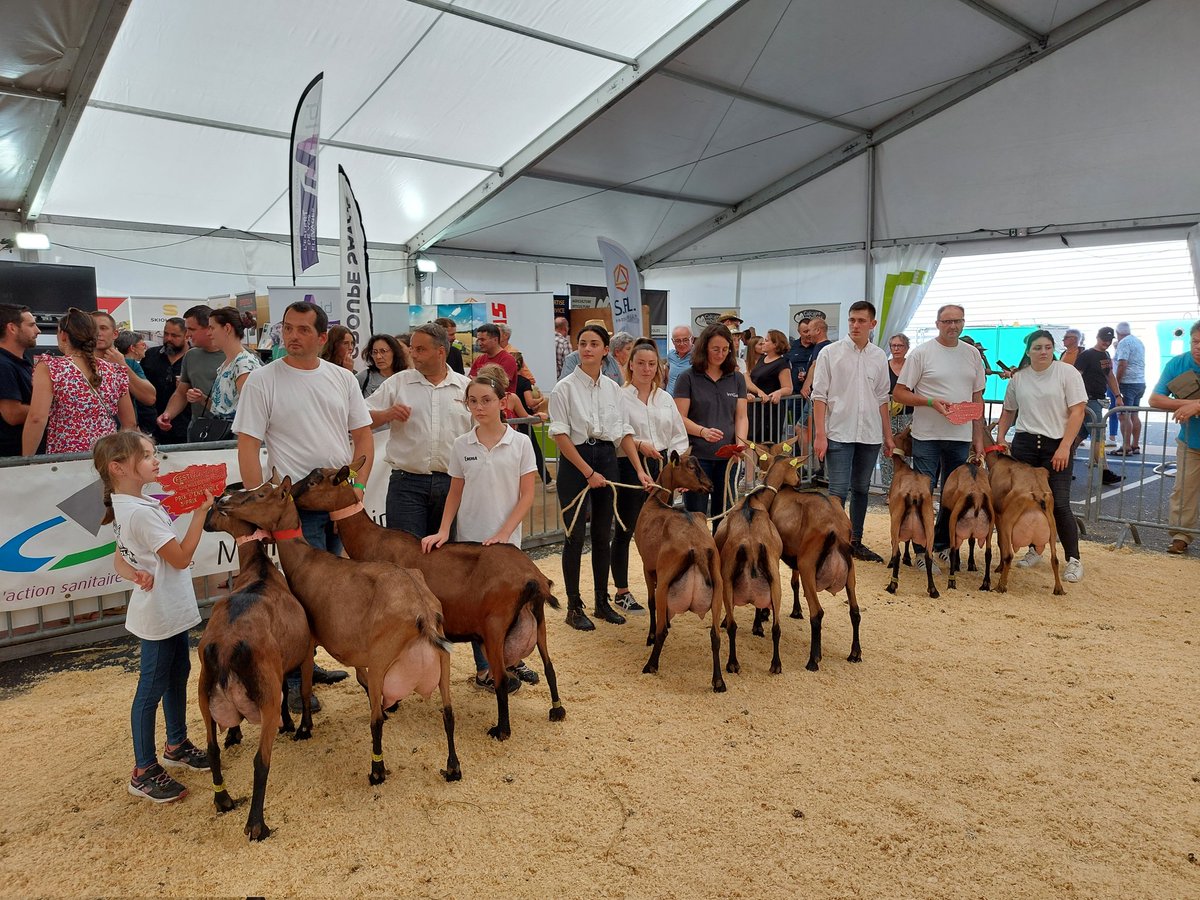 Le 1er prix d'ensemble caprins revient au Gaec Gaborit.