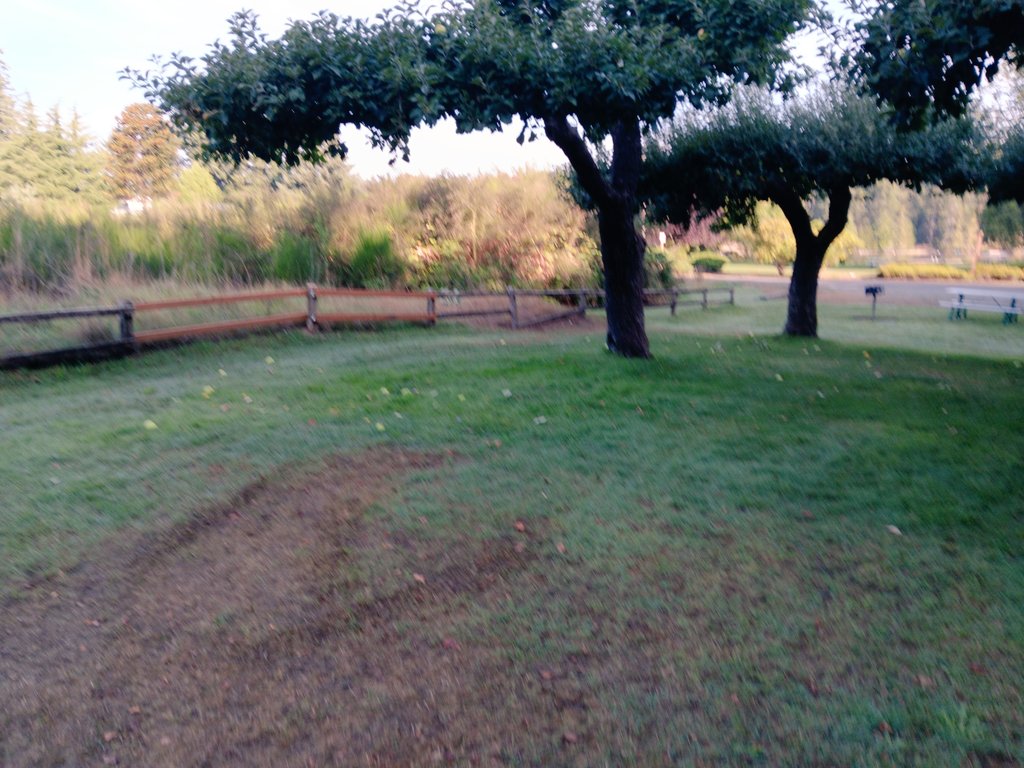 cryo2052's tweet image. APPLES!!!  🍏 🍏 🍏 
Someone realized as they were planning this park that having some apple trees here would be a good idea. That&apos;s the kind of forward thinking we need in society.

Everyone&apos;s to wrapped up in their own now to think ahead

#apples #geologictime #appletrees