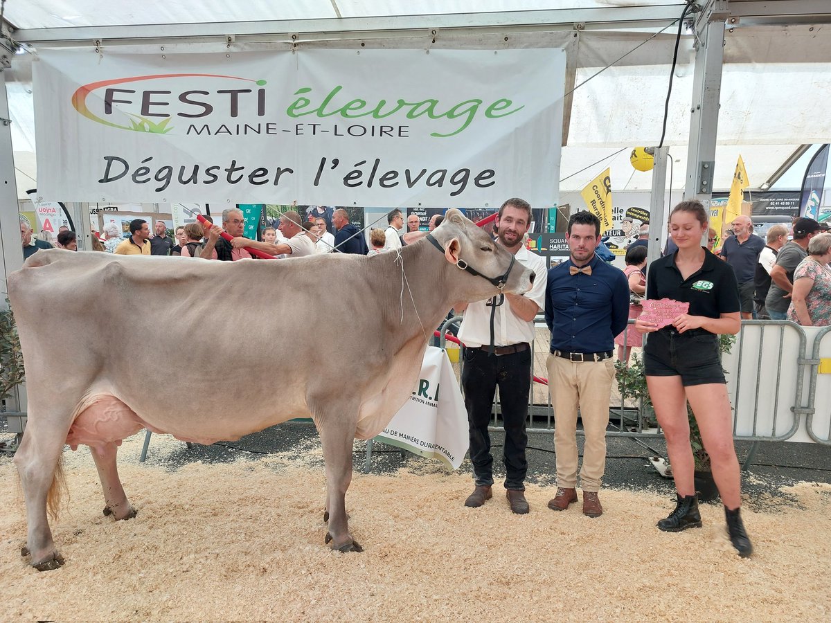 La championne adulte brune et grande championne 2023 est LBB Alice du Gaec du Bois Brillant, en cours de 5ème lactation.
