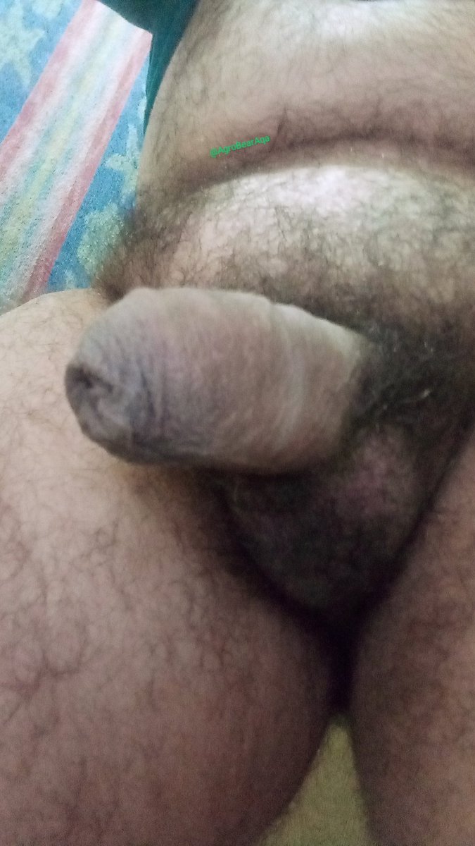 agrobearaqa's tweet photo. Sábado o urso estava se cuidando está semana foi uma correria atrás de médico mas breve se Deus quiser vou fazer muitos filhotes 

@AdoradorPaus 
@_K_A_I_R_O_S 

@Sabordmacho
@SoParaDivulgar
@GayAmadores
@piruzalgay2
@2Divulgamens
@Dovamassage
@Divulgaboys016

@SegredosHomem https://t.co/pObHGbNJro