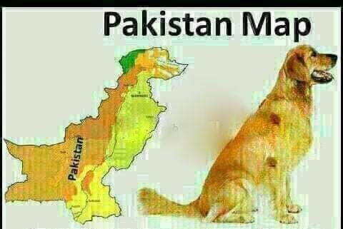 OrwellNGoode's tweet image. 