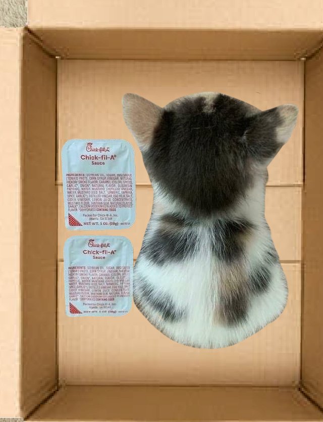 bootwtadoption's tweet image. .𖥔 ݁ ˖  a two sauces long cat has appeared at your door! 

.𖥔 ݁ ˖ from - anon

.𖥔 ݁ ˖ to - @olivertheace

.𖥔 ݁ ˖ look! a note is attached to the box! it says, “ here ya go king :D “ 

.𖥔 ݁ ˖