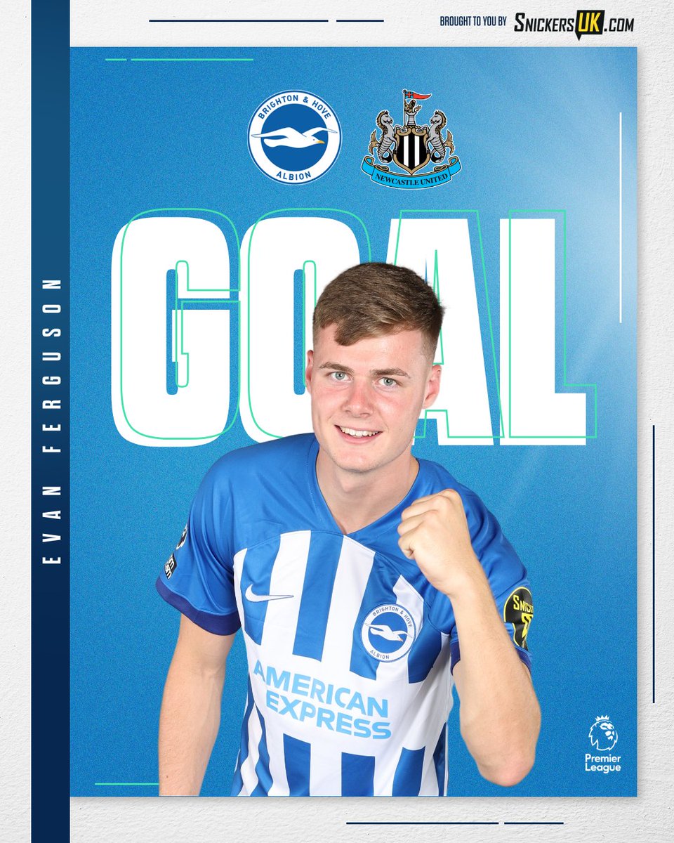 Brighton & Hove Albion tweet media
