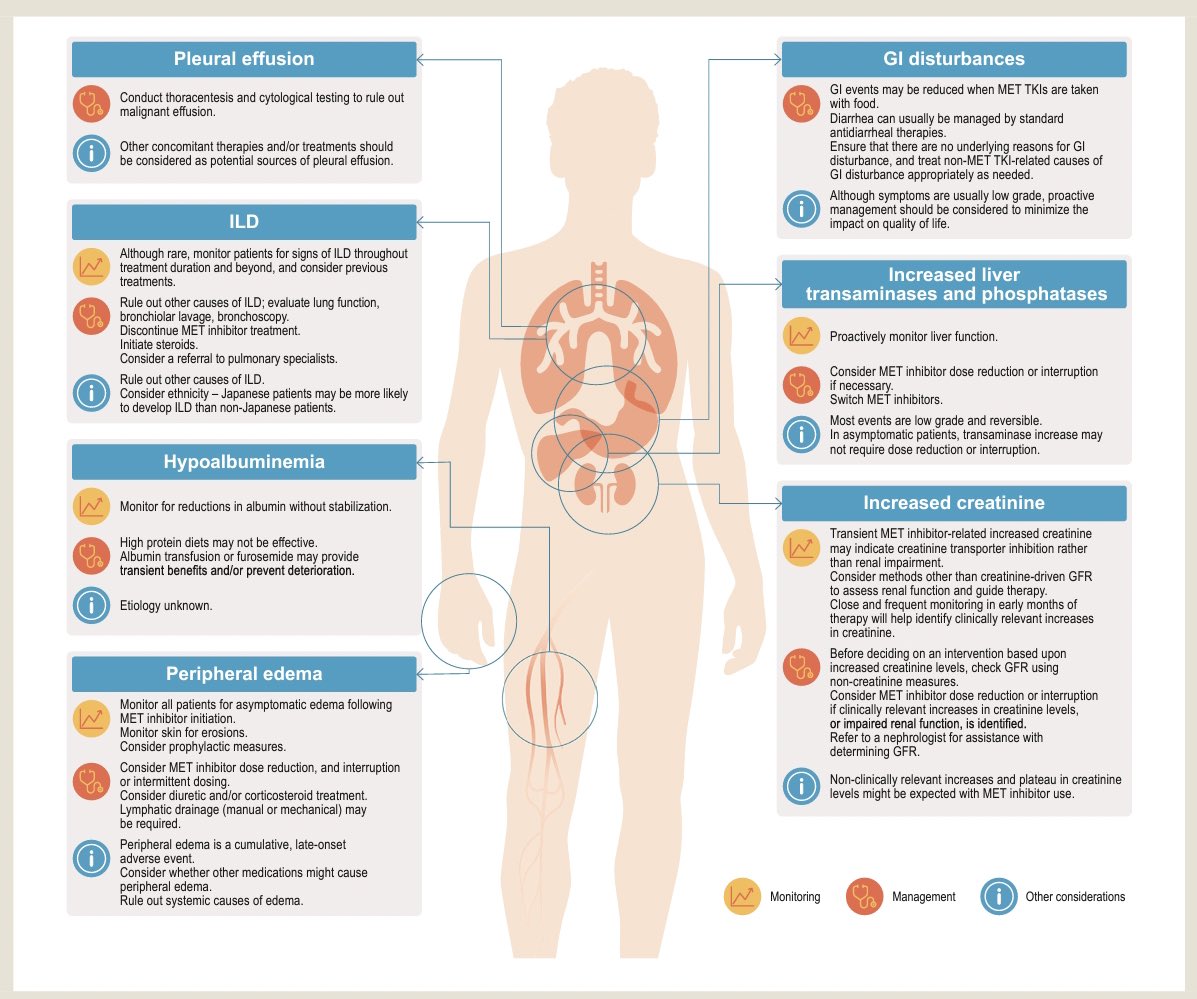 diegoadiazg's tweet photo. Safety of MET TKIs in pts with MET exon 14 skipping NSCLC.
Guidance on clinical monitoring and management of key MET TKI TRAEs and drug-drug interactions.
@ClinicalLung 📖 DOI 👉🏻 10.1016/j.cllc.2022.01.003
#lungcancer #nsclc #targettherapy #lcsm #met14ex #tki #safety https://t.co/NnuEa4Evqx