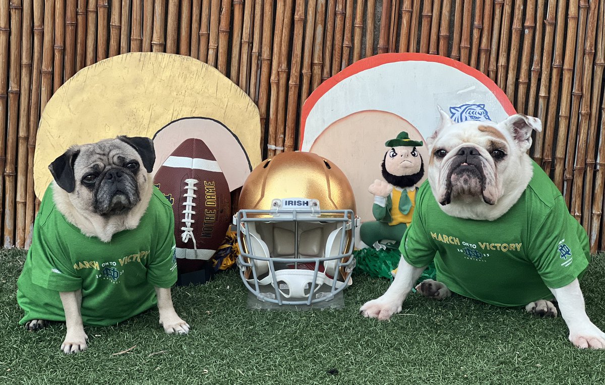 LoulouHoltz's tweet photo. First Home Game 🏈🏈🏈
@ndfootball and @tennstateu Go ☘️ Irish ☘️ 
#ndalumni #ndnation #nd #notredame #NDFB #ndmonogram #ndsubwayalumni #goirish #fightingirish #lovend #CheerOn #CollegeFootball #Fanatics 🏈🏈🏈🏈🏈🏈🏈🏈🏈🏈🏈🏈🏈🏈🏈🏈 https://t.co/887tZAEzse