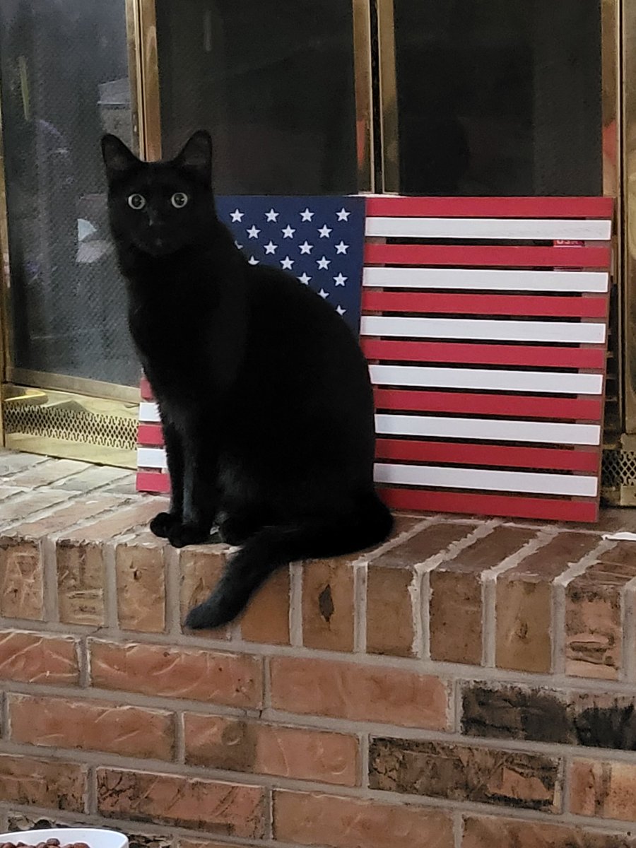 Jody A. Webb tweet media