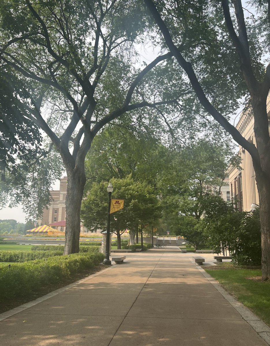 UMNAlumni's tweet photo. So much green on campus 🌳 ☀️
#UMNCampus #UMN #SaturdayViews https://t.co/Gi9oWwBMTk