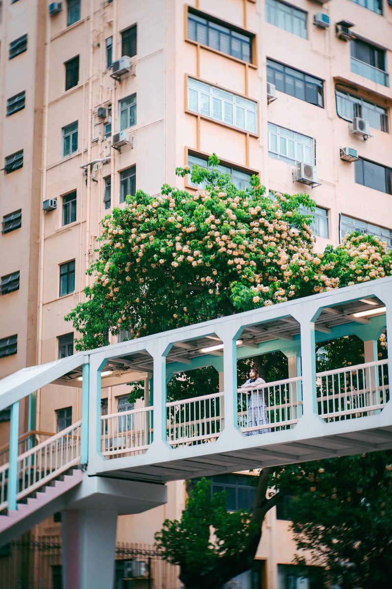 lomography's tweet photo. Hong Kong-based Photographer Nathan recently tried out the #Petzval80.5 Bokeh Control Art Lens to capture unique and dreamy portraits. In this interview, he shares the results and gives us some tips for portrait photography. Read on #Lomography: https://t.co/iJaJEhAXB7 https://t.co/IytAecf6OQ