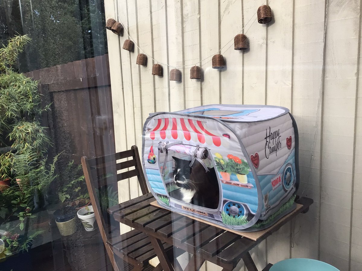 SarahjevsEvans's tweet photo. More photos of my cat in his caravan π#bemoreflash https://t.co/LtOeV51d25