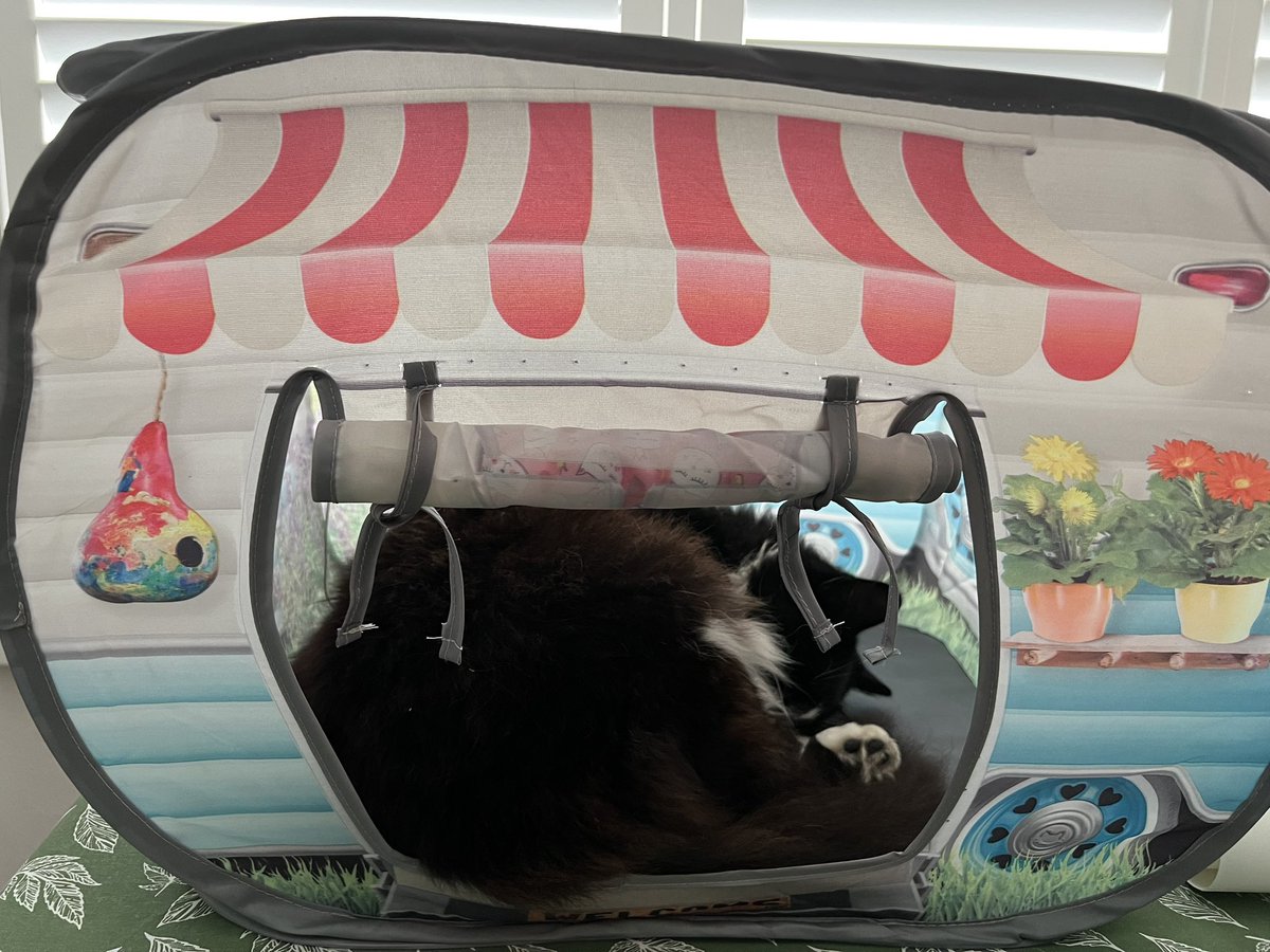 SarahjevsEvans's tweet photo. More photos of my cat in his caravan π#bemoreflash https://t.co/LtOeV51d25