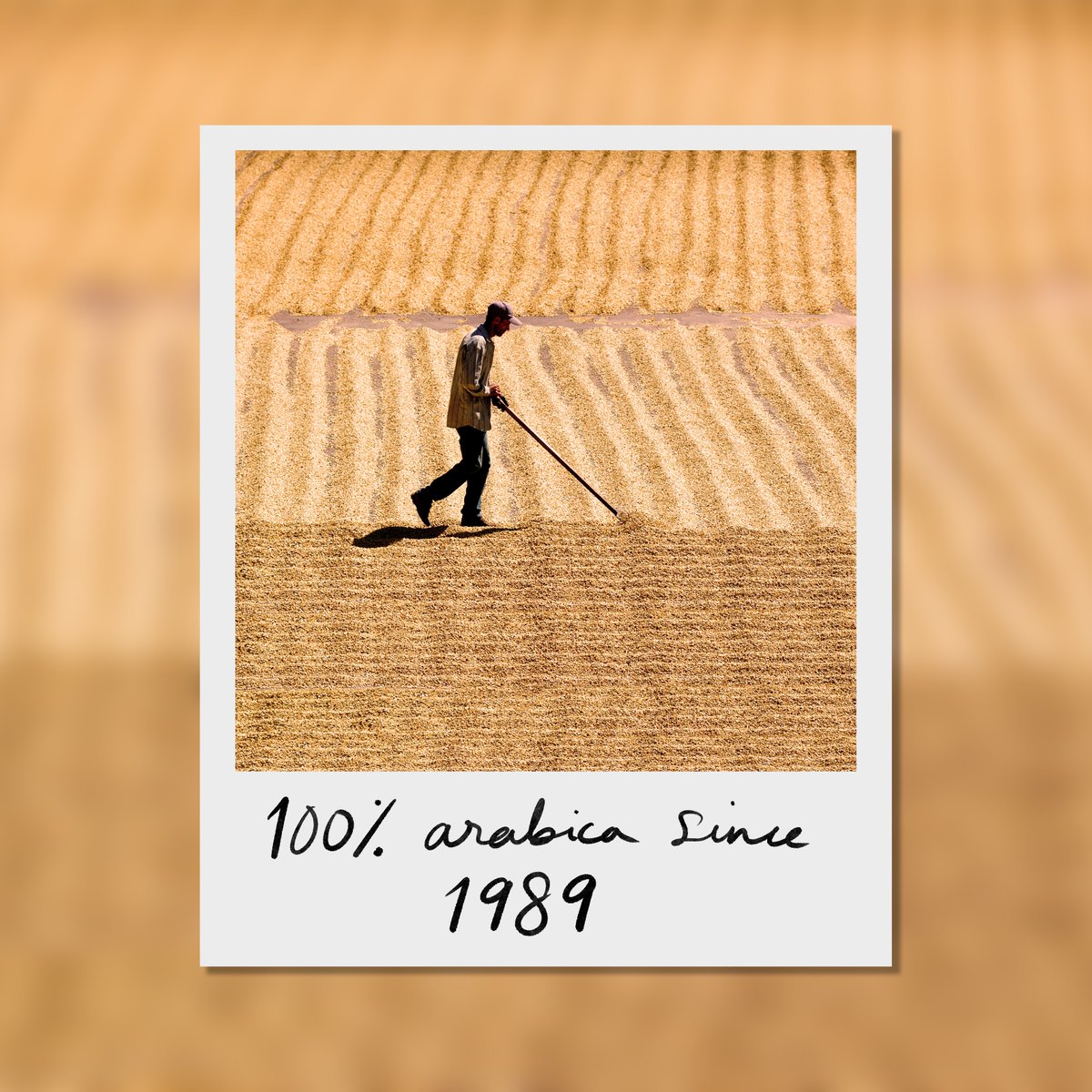 Van Gogh Vodka tweet media