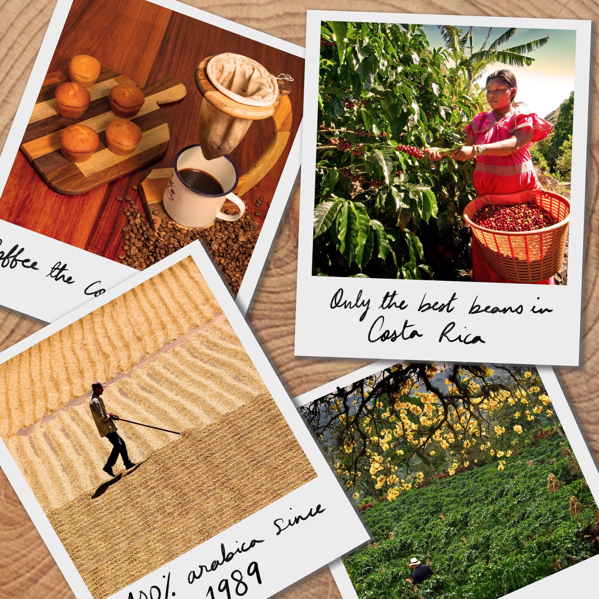 Van Gogh Vodka tweet media