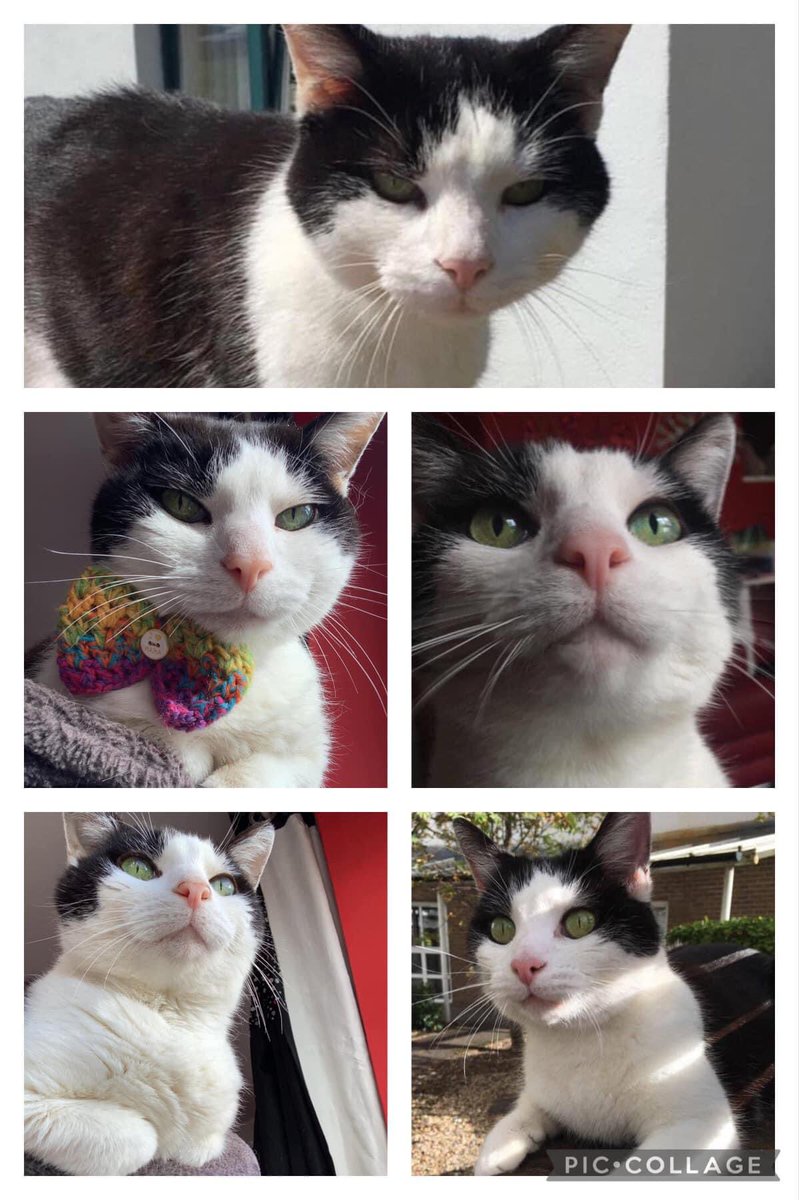 A whole month without you 🌈💔