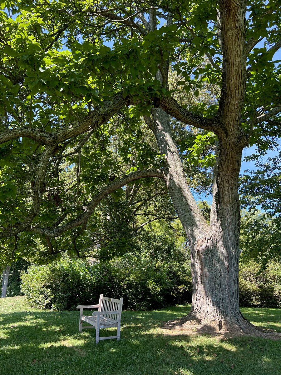 “One generation plants a tree, the next enjoys its shade.” Chinese proverb