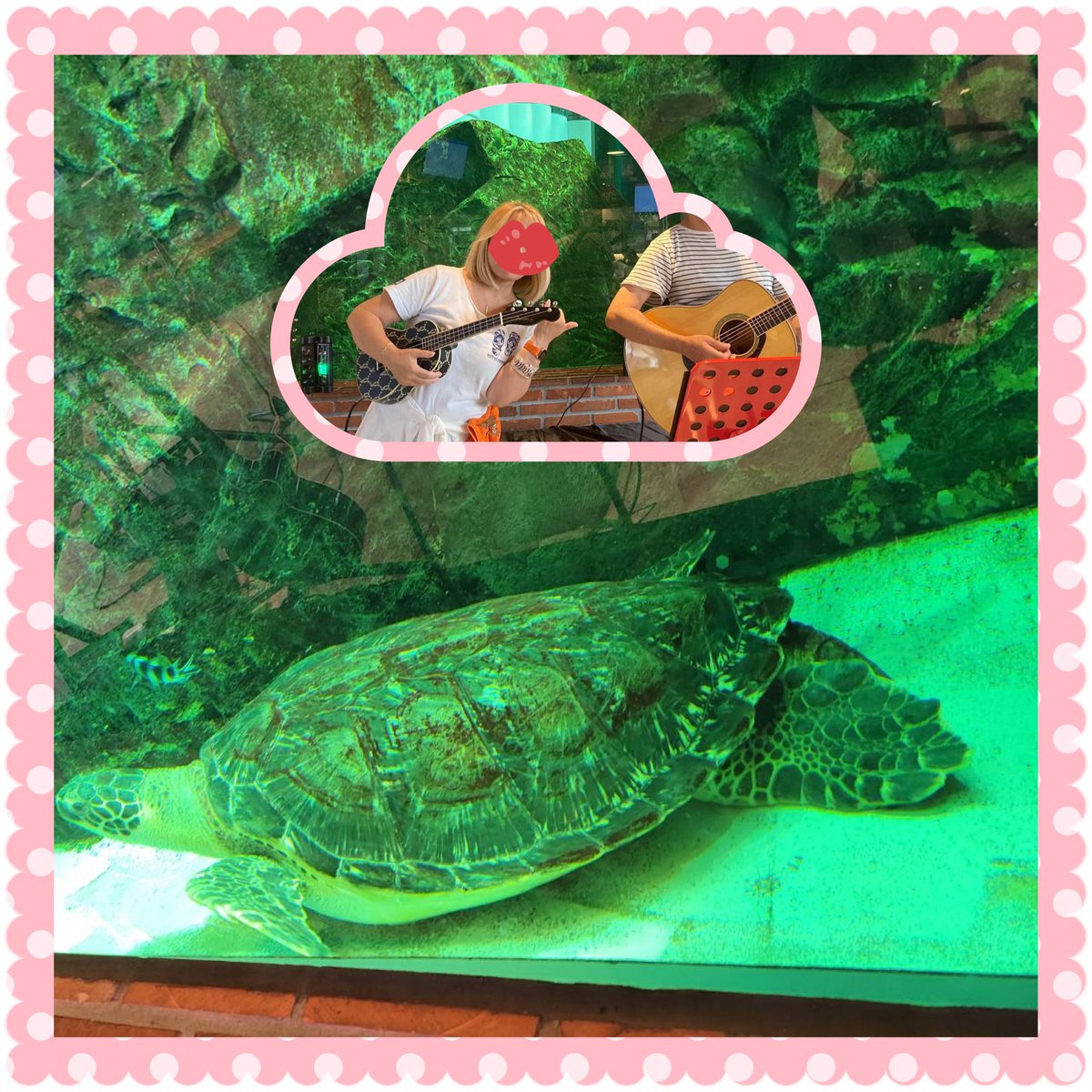 ladykaga331's tweet photo. ケーズハーバーでホヌと♡ https://t.co/OQ23fEqouu