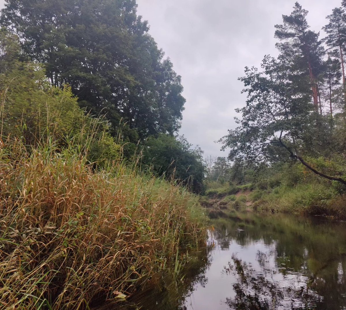 oskarsvizbulis's tweet photo. Durbes upe - sapalu paradīze. #durbe #dienvidkurzeme #sapals https://t.co/UywyScOz0F