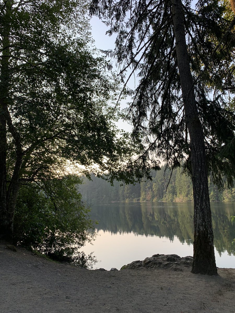 Bodacious Lifestyles tweet media