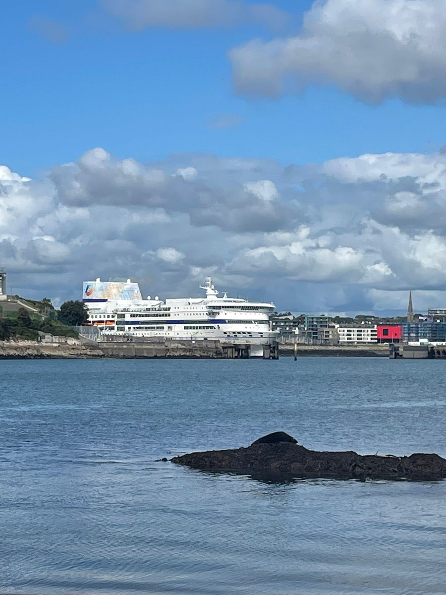 @BrittanyFerries #PontAven taken from Drakes Island where we paddle-boarded to yesterday. Can you spot the seal in the foreground?👀👍 #Plymouth #BritainsOceanCity @britainsocean 😍