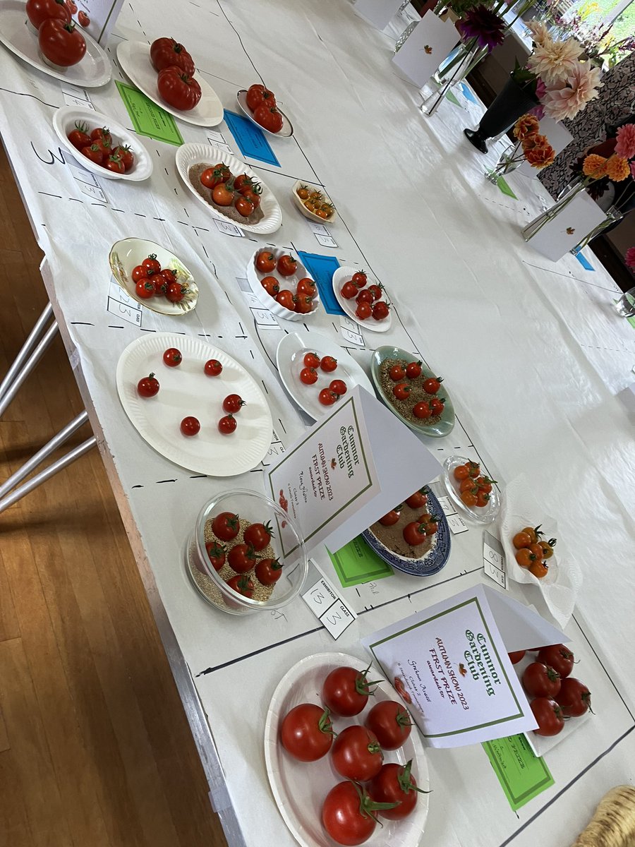 Lovely to see some amazing fruit, flowers, veg &amp; cakes at Cumnor Show today. The good gardeners of Cumnor never disappoint😍