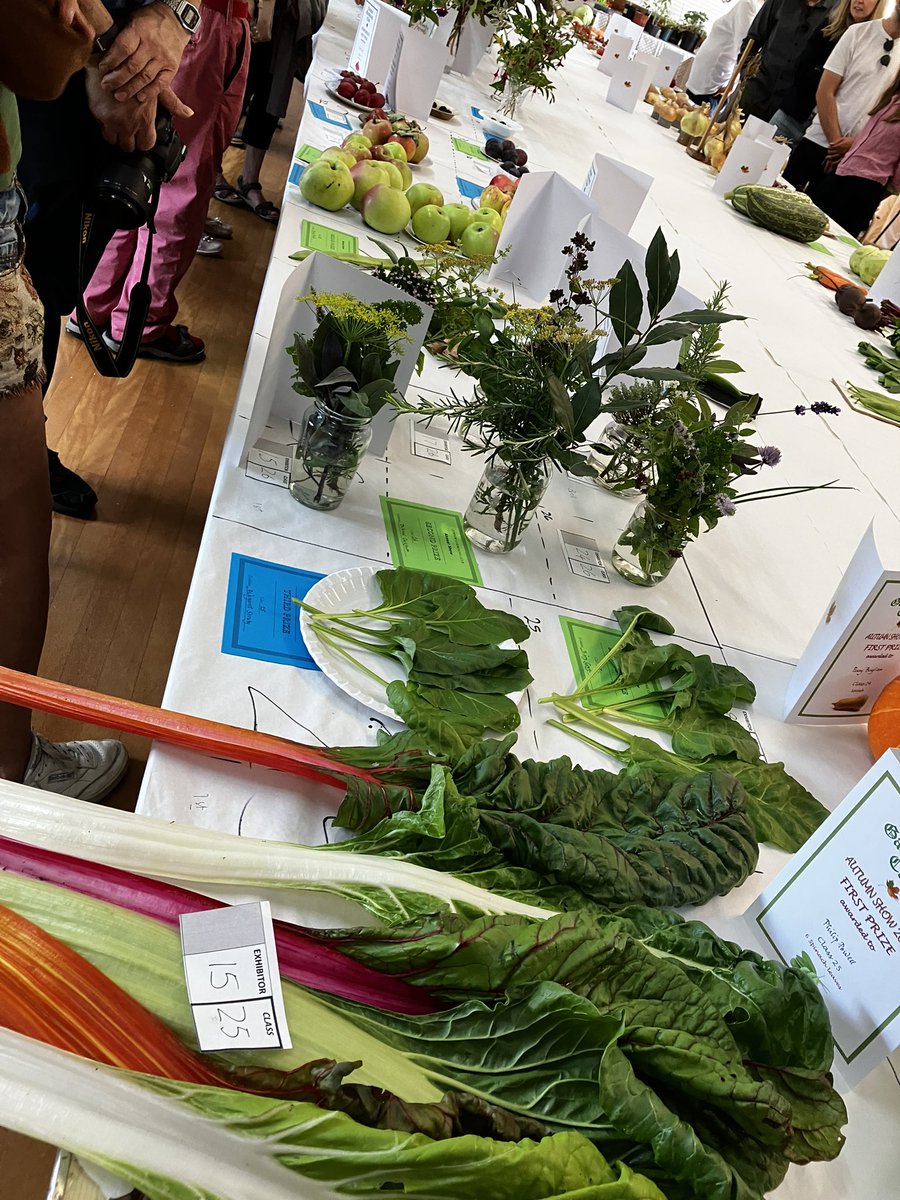carryoncumnor's tweet photo. Lovely to see some amazing fruit, flowers, veg &amp; cakes at Cumnor Show today. The good gardeners of Cumnor never disappoint😍 https://t.co/18NYVbpT5f