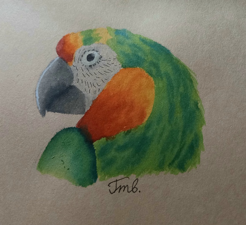 GTV_001's tweet photo. Parrots! :3 #art #animal #bird #parrot https://t.co/scpz0OhROn