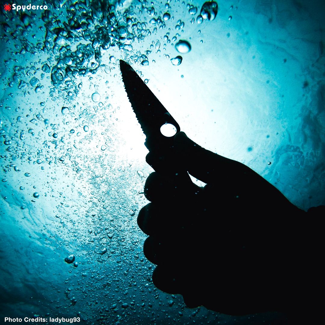 SpydercoKnives's tweet photo. Spyderco’s Salt® Series knives were created for use in, around, and even under the water. What’s your go-to Salt knife? #Spyderco #SaltSeries https://t.co/peBWAhfEic