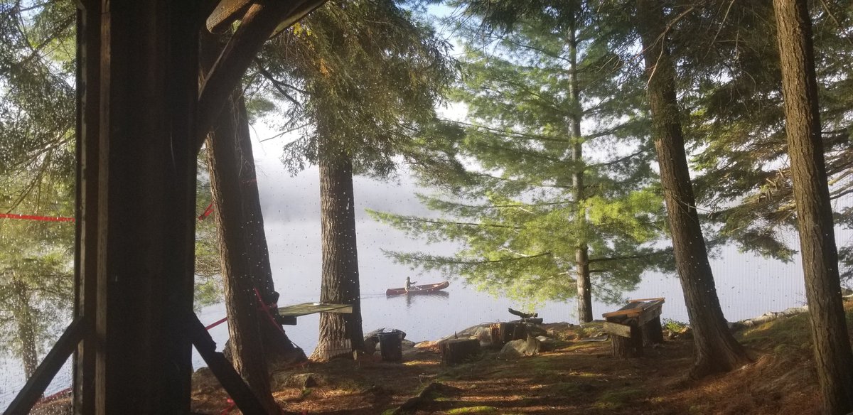 MuleskinnerJou1's tweet photo. MSJ presents “Knowing the Way” by June Stoddard. It’s a timeless poem about place and memory. Enjoy June in September, with beauty and grace.
https://t.co/LB2x9ZTVeb
#muleskinnerjournal
#literaryjournal
#poetryjournal #junestoddard #poetsofTwitter #writersoftwitter
#poet #writer https://t.co/FruFx3imlV